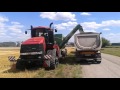 Big action on The Field | Quadtrac 600 &amp; Bergmann GTW 430 | HARVEST | Claas | Case