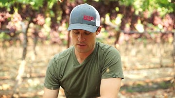 On the Ranch with Farmer Drew: Irrigating vineyards