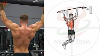 تمارين العقلة لتعريض الظهر و تضخيمه مع التشريح العضلي PULL UPS / CHIN UPS