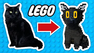 I Made My Cat Out of Lego (Life-sized!)