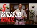 🖐👊5 ESTILOS DE KARATE que existen y sus diferencias.