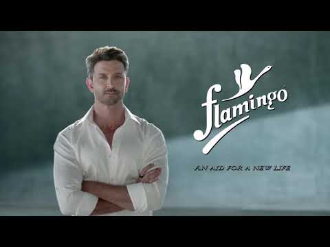 Flamingo Health | Lumbar Sacro Belt |  Hrithik Roshan | TVC 2019