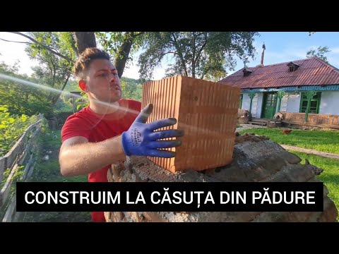 Video: Odată Pierdut în Pădure - Vedere Alternativă