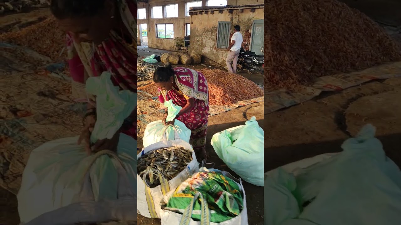 DRY FISH MARKET IN KAKINADA