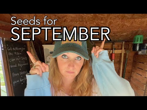 Seeds for September