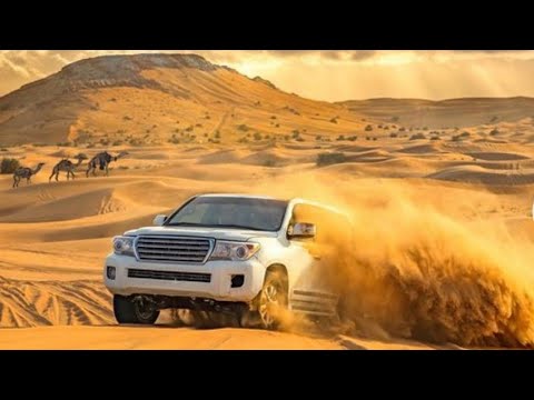 Desert Safari Dubai || Desert Dune Bashing || Camel Ride || BBQ Dinner