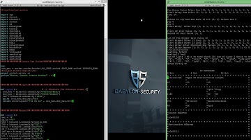 Linux Raw Socket Output In Python, Sending Tcp Syn Ack Fully Raw Packet Construction