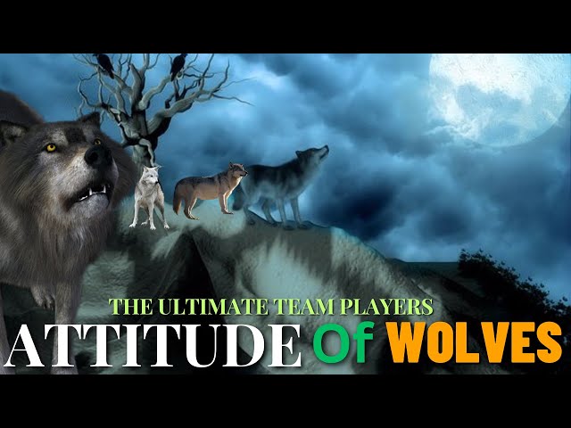 Wisdom Of The Wolves - Best Inspirational Video class=