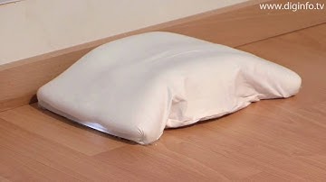 Cleaning robot, Wiping Cleaner Fukitorimushi : DigInfo