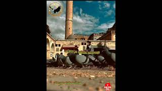 Duygusal Kürtçe Whatsapp Durum Videoları Için Abone Olmayı Unutmayın Lütfen