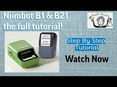 The Ultimate Label Maker: Niimbot B21 Wireless Thermal - Temu