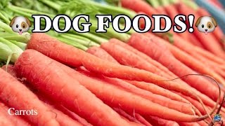 TOP 10 BEST FOODS FOR DOGS!!