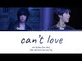 Can T Be Blue Can T Love Feat HAN Straykids Lyrics 