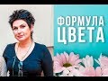 Татьяна Савенкова: ФОРМУЛА ЦВЕТА. Колористика для парикмахеров.