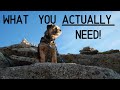Hiking with Dogs- Gear for Beginner Hikers! [What You ACTUALLY Need to Hike with a Dog]