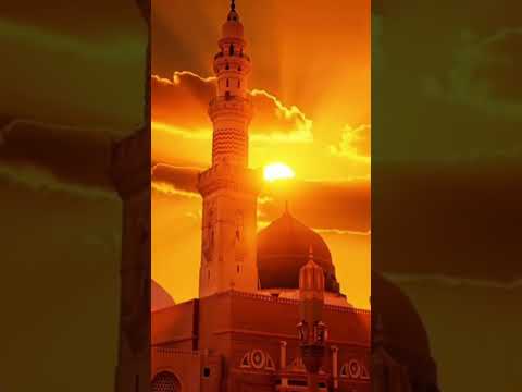 #gojol #viral #shortvideos #trending #islamicvideo #youtubeshorts #foryou #fyp