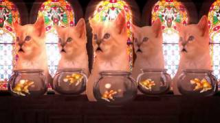Merry Christmas from DFW Purebred & Domestic Cat Rescue by mariaproductions2009 31 views 8 years ago 1 minute, 23 seconds