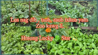 Ntuj Los nag txhua yam zaub , dib , taub , taum zoo thiab mos heev . 6-18-26