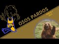 Osos pardos peligroso pochoncito  ep 60  cultura colmilluda