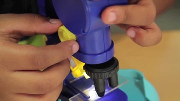 How to Use 300x Microscope - Scientists of Tomorrow