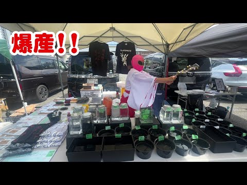 いのちの童話: メダカ銀河をゆく/手塚 カズ
