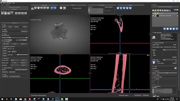 Dragonfly3.6 Tutorial - ROI Interpolate