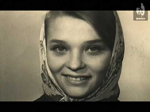 амалия мордвинова охота на золушку. женские истории передача. амалия мордвинова.