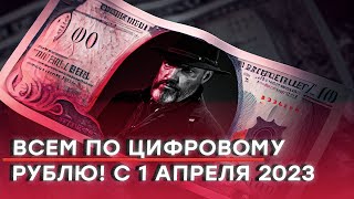 Всем по цифровому рублю! С 1 апреля 2023 года