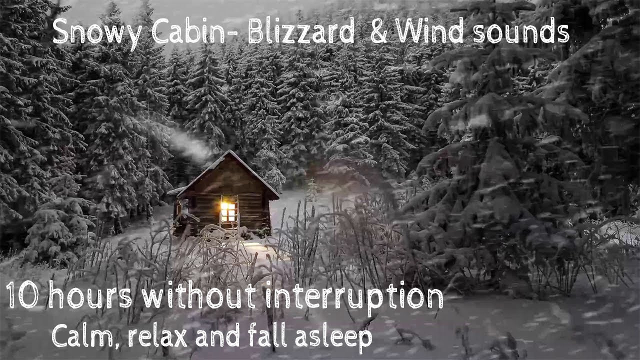 Forest Snow Storm Ambient | 10 Hours of Blizzard Sounds | Snowy Cabin ...