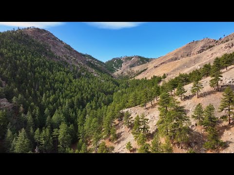 Spruce Gulch Reserve enhances ecology research and academic studies