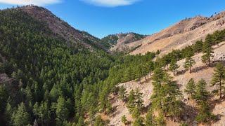 Spruce Gulch Reserve enhances ecology research and academic studies