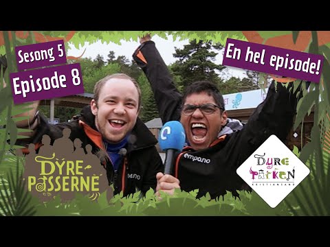 Verdens kuleste reportere
