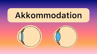 Die AKKOMMODATION des Auges (Nahsicht und Fernsicht)