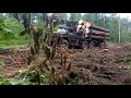 Незаконная валка леса в Рузском районе вблизи СНТ ФОРТУНА 30.06.2021