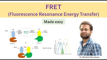 What is FRET (Fluorescence Resonance Energy Transfer) || förster resonance energy transfer