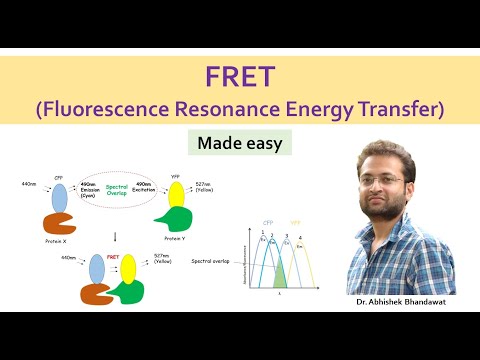 What is FRET (Fluorescence Resonance Energy Transfer)