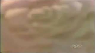 (REUPLOAD) Explosion by davemadson