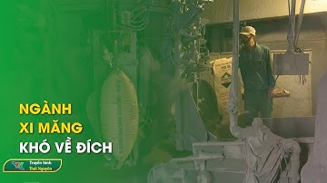 Ngành xi măng khó về đích | Thái Nguyên TV