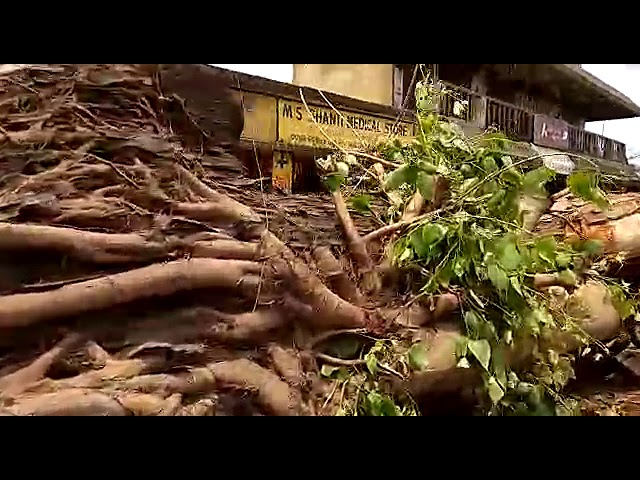 Cyclone Fani Effect | Jagatsinghpur NH 55 Road Condition Footage | OMG!