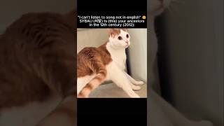 Gangnam Style Cat Core