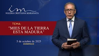 MENSAJE - ICM Español - 05/10/2025 Tema: Mies de la tierra esta madura