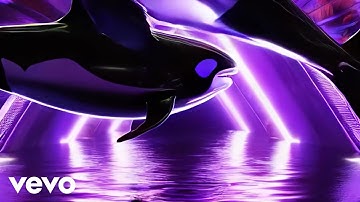 Trigger No Safety - Shamu (Official Music Video)
