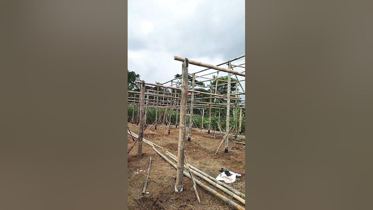 Proses pembuatan green house #tanamanmelon #short Proses pembuatan green house #tanamanmelon #short