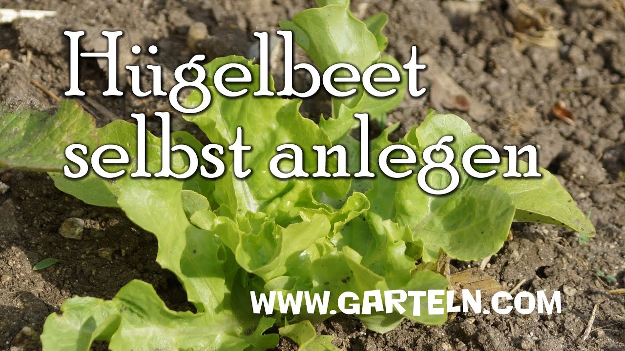 Hügelbeet selbst anlegen YouTube