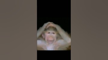 damn.#coding #motivation #college #programming #python #javaprogramming #java #computerscience #cse