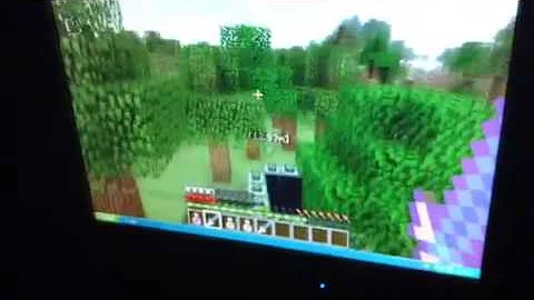 Ryan peeler playing mincraft