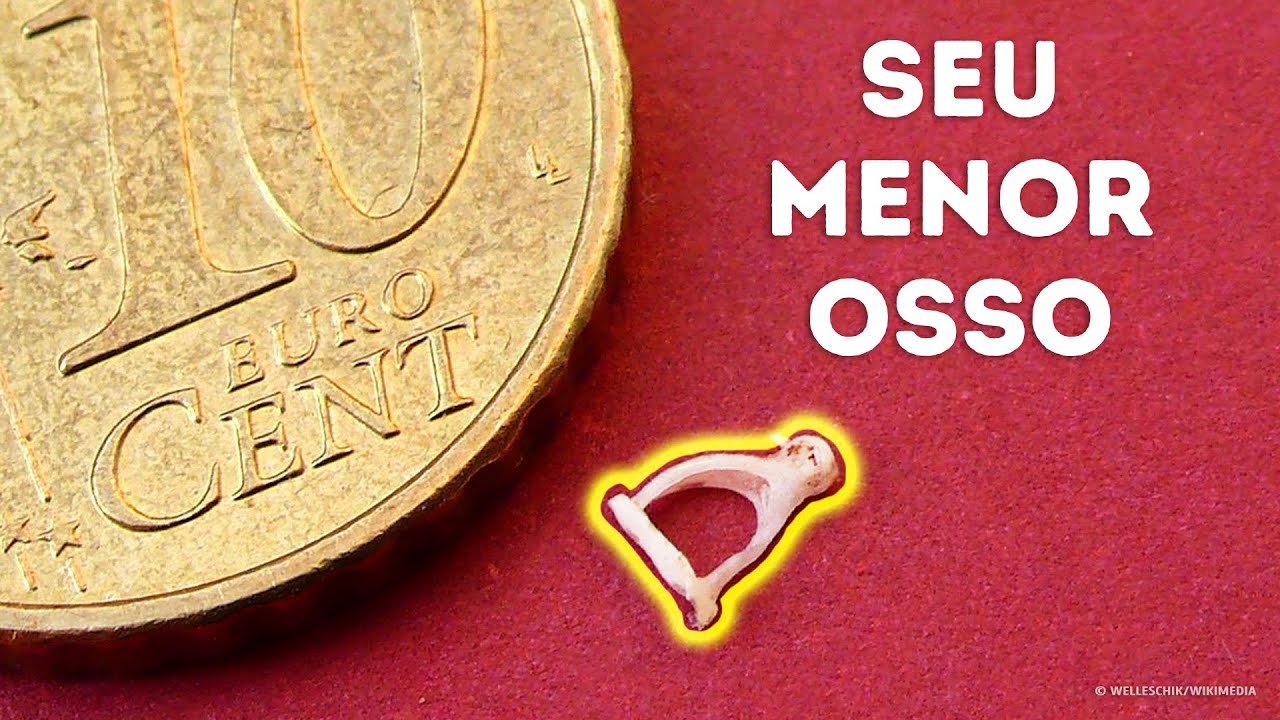 Segredos ASTONISHING dos ossos humanos! Você não vai acreditar no que há dentro deles