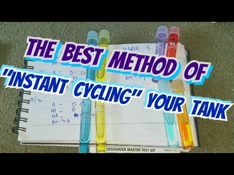 How to Jump Cycle Your Tank - Water Parameters - API Test, & Issues w/ "Instant Cycling" A Fish Tank