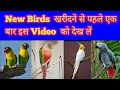 New Birds  खरीदने से पहले एक  बार इस Video  को देख लें