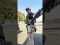 本日の #装備紹介動画 #サバゲー装備 #airsoft #装備紹介 #tacticalgear